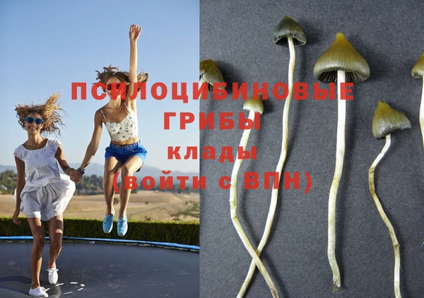 гашишное масло Балахна
