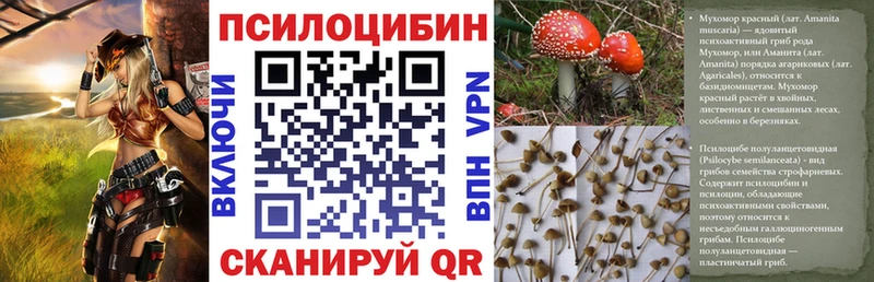 сколько стоит МЕГА зеркало Галлюциногенные грибы мухоморы Магас